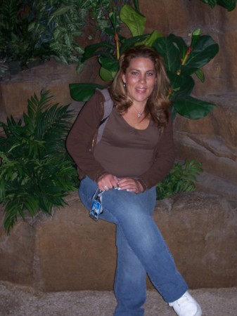 Lisa Castellanos' Classmates profile album