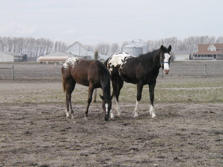 Junior and Little Missy