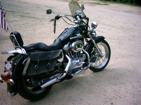 My Harley Davidson Bike