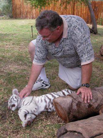 White Bengal Tiger Cub