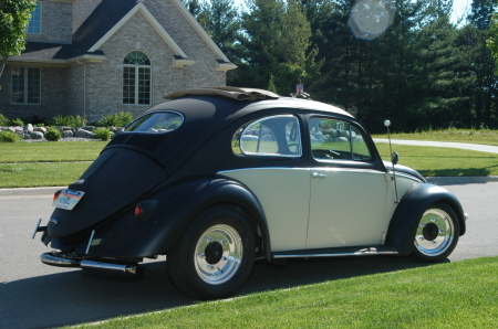 56 Bug