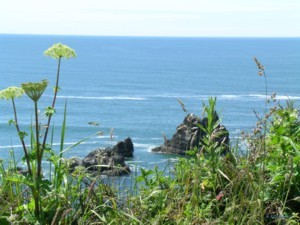 Views From Oregon Coast