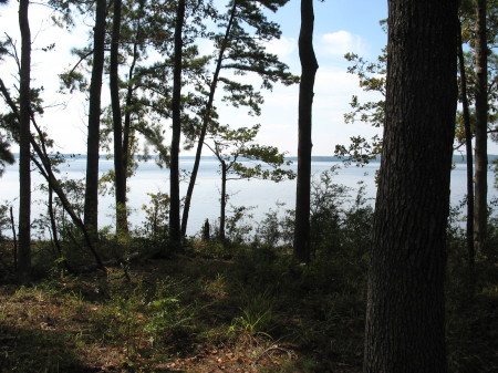 South Toledo Bend State Park, Louisiana