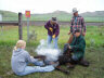 Maggie Branding a calf