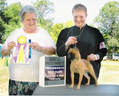 At the dog show