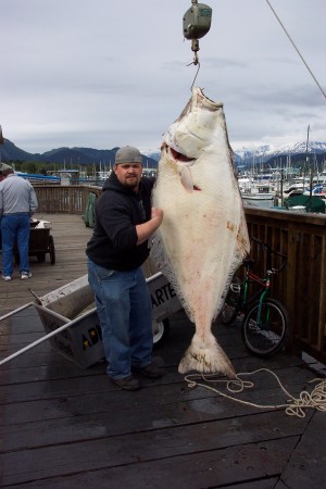 My son, Louie (Jr.) and his 168 pound halibut!