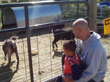 With Daddy at the petting Zoo