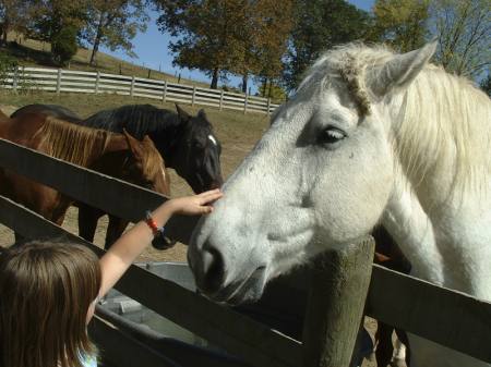 Granddaughter loves horses