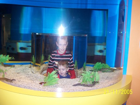 Boys in a fish tank