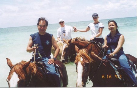 Bahama Horses