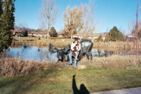 Benson Sculpture Park Loveland Colorado