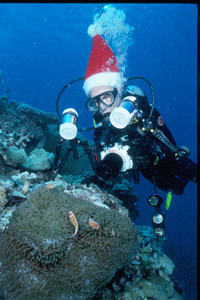 Diving in the Solomon Islands