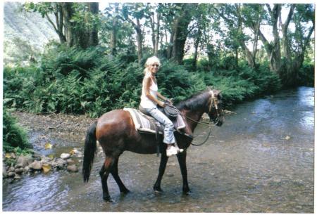 Waipio Valley Ride