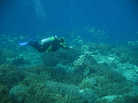 Great Barrier Reef