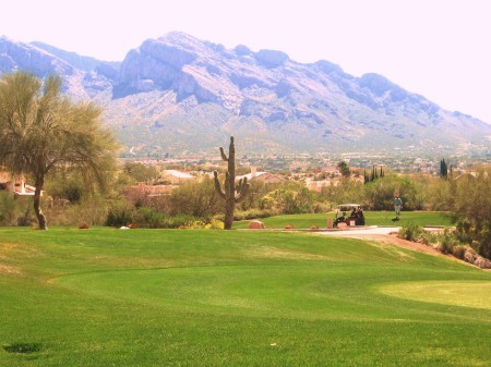 Golfing in Arizona