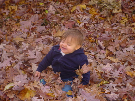 Hannah's First Leaf Pile