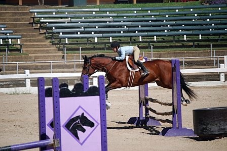 My daughter Kylie 10 yrs, jumping on her horse.