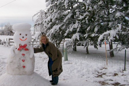 Colorado in December 2007 Blizzard