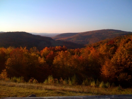 Bobby Blues place at the peak of fall