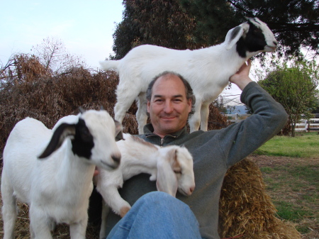 Erick and the baby goats.