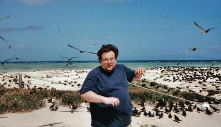 Being attacked by birds