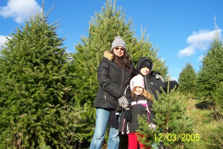 Cutting down the Christmas tree