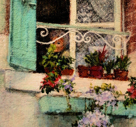 closeup of 'Lady in the window'