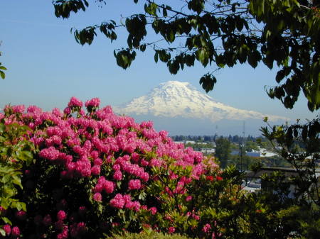 Mt. Rainer from Bellermine High School in Tacoma