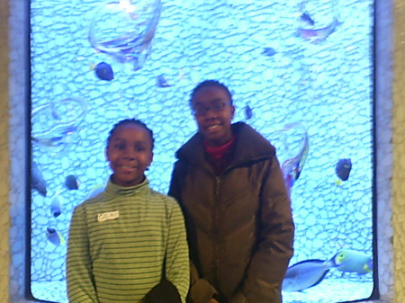 Field trip to our Aquarium of Atlanta