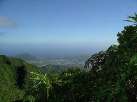 View from Hawaii Loa Ridge hike