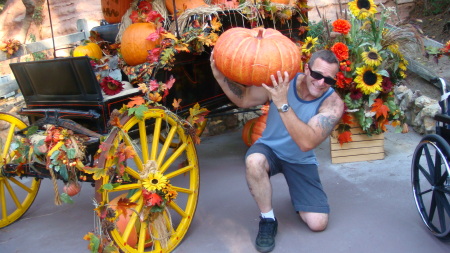 Disneyland (heavy pumpkin)