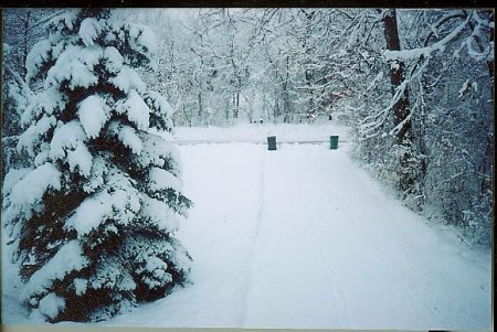 A Minnesota Winter