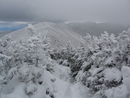 summit ,south peak moosilauke  elev 4525'