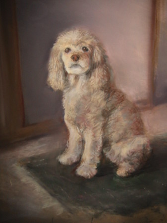 Pastel portrait of BLONDIE our pooch