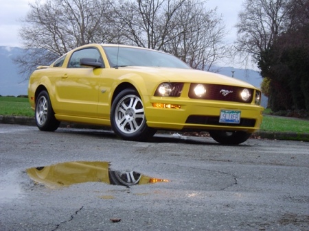 Sunny - Mustang GT