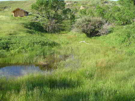 Little house in the valley