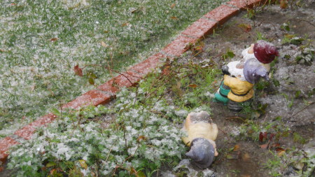 Gnomes in snowy Burbank 2/26/11