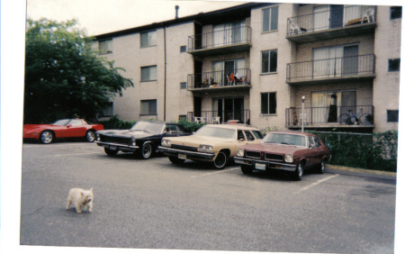 1965 Buick Riviera, 1974 Buick Wag, 1974 Ponti