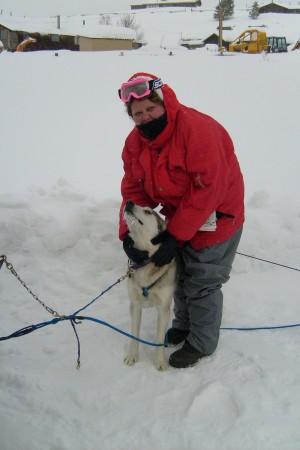 Dog Sledding