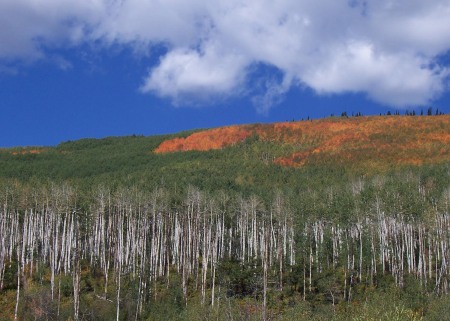 East Side of Grand Mesa