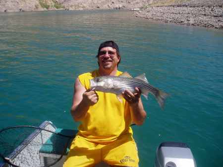 Another productive day at Lake Mead