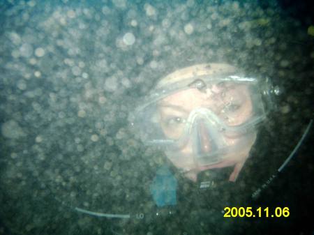 My 1st Open Water Dive, WA