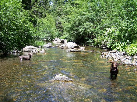 Stanislaus River