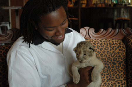 3-day old South African lion cub - March 2005