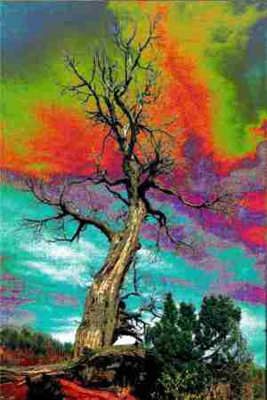 apocalypse tree
