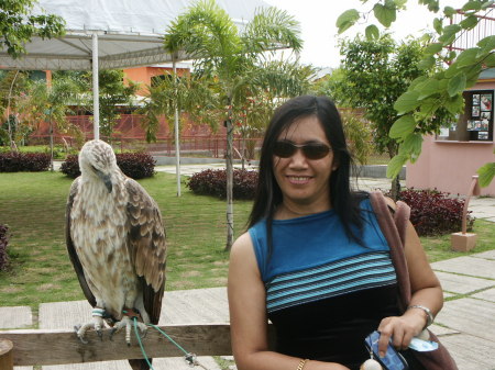 Amy and Philippine Eagle