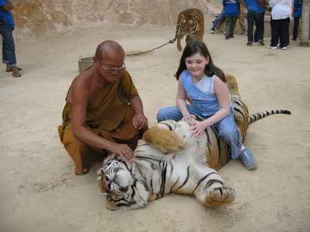 SAMMIE -Dec 25, 2006 - Tiger Temple - THAILAND