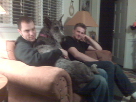 the boys and the great dane