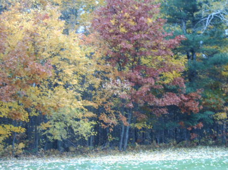 fall 2008.......the colors.......awsome
