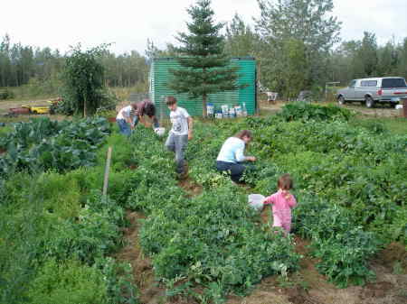 Helping Grandpa in the Garden